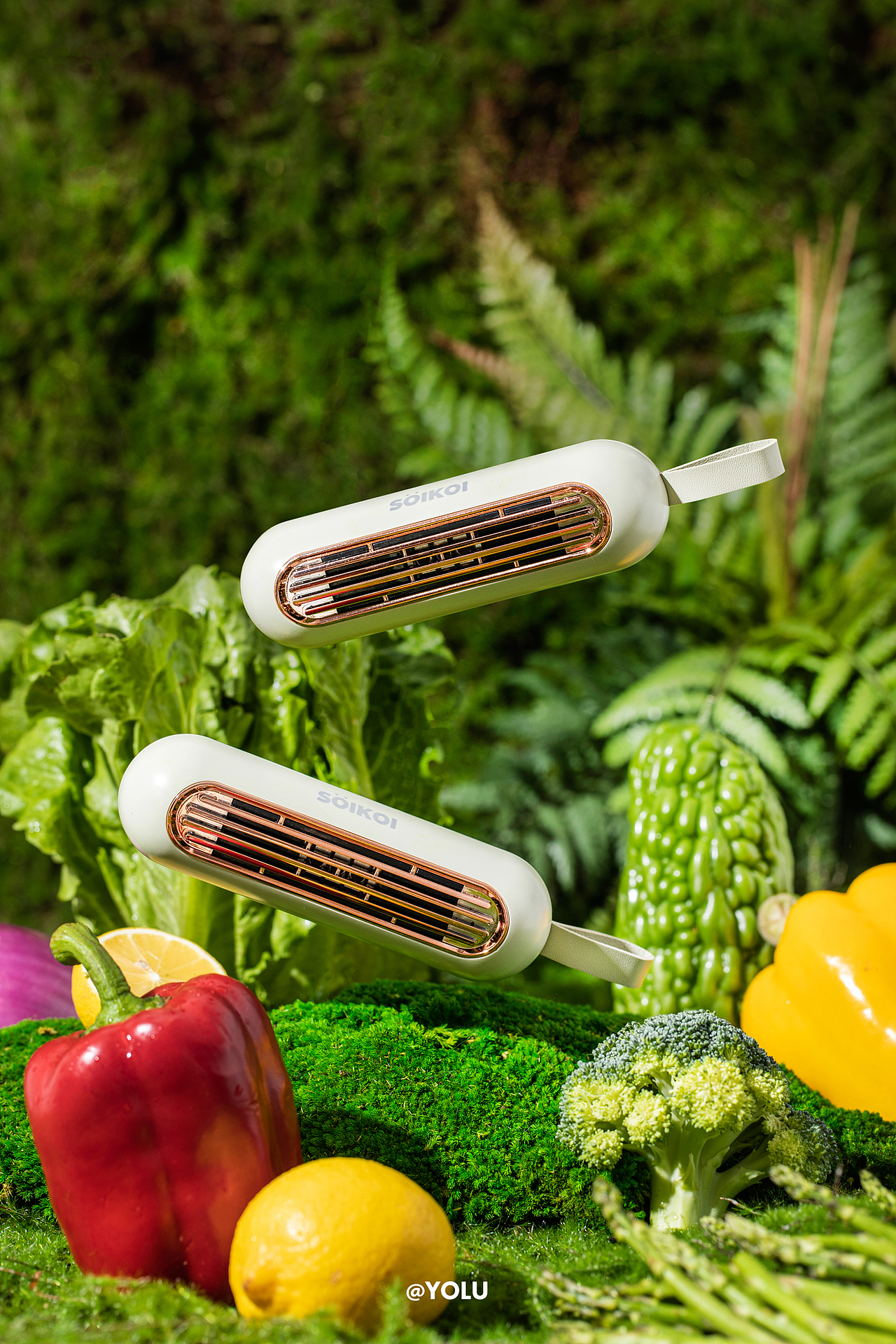 司崎库X小家电系列拍摄 爱了这抹绿