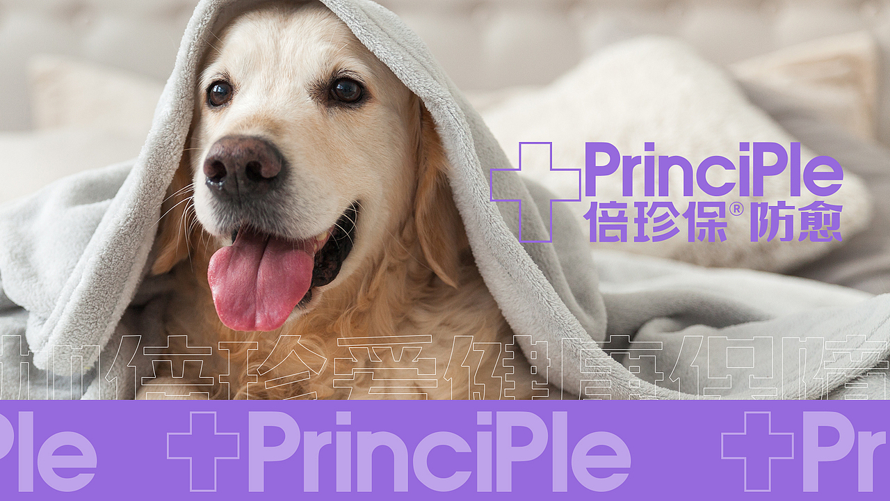 倍珍保-防愈VI 系统升级（图ZMzQwNzE0MTI4） - 品牌 - 站酷设计师末耳原创素材 - 站酷ZCOOL