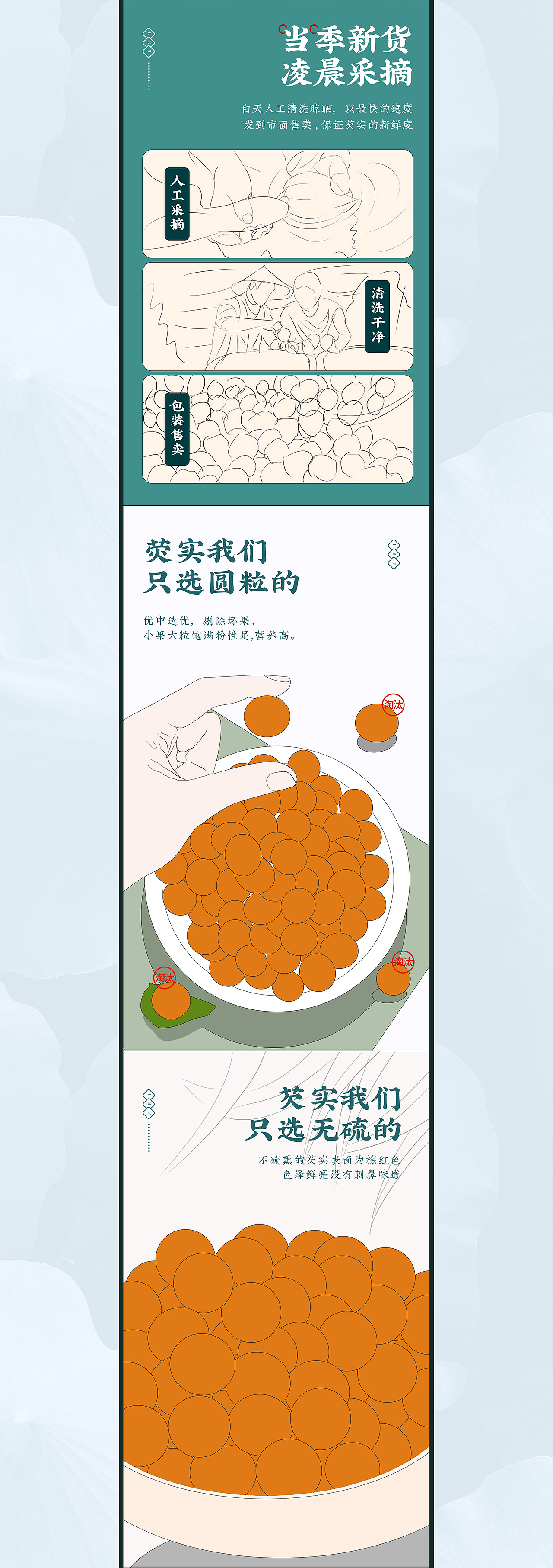 芡实|详情页|广东肇庆|滋补品|煮粥|泡酒|中药材|中式