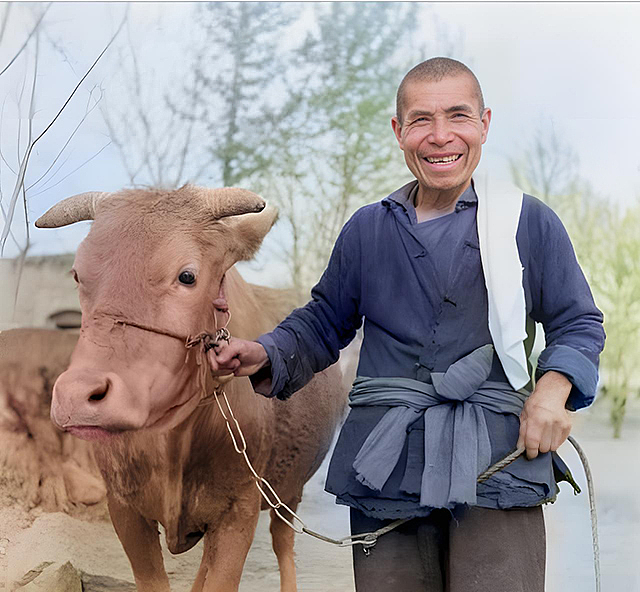 老照片修复上色翻新习作