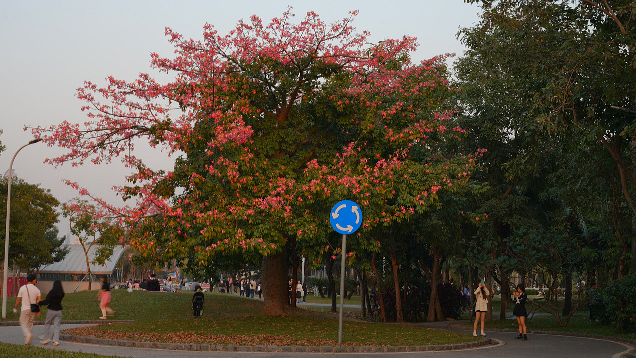 深圳大梅沙与海滨湾