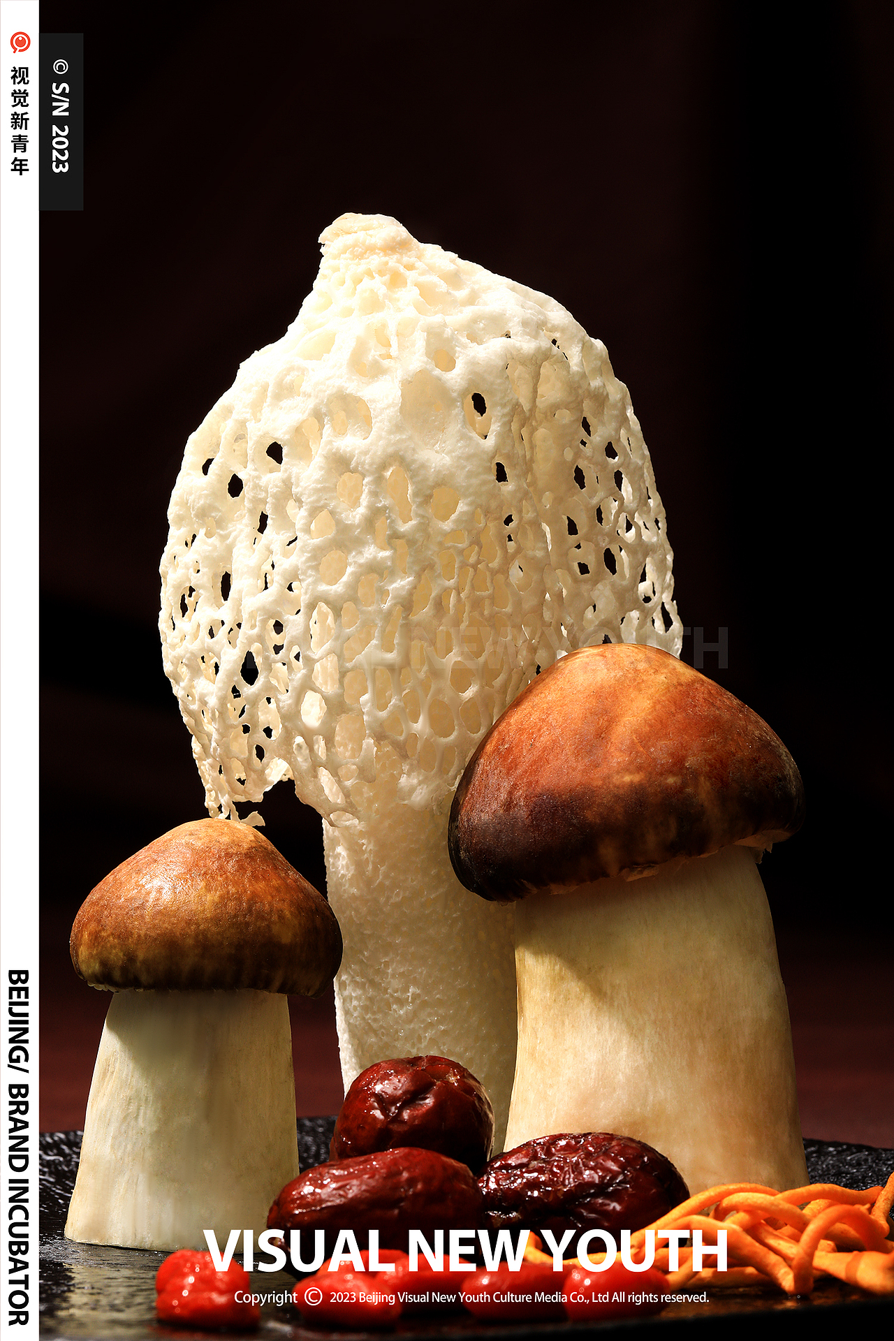 ● 电商拍摄（正大预制菜）视觉新青年S/N202