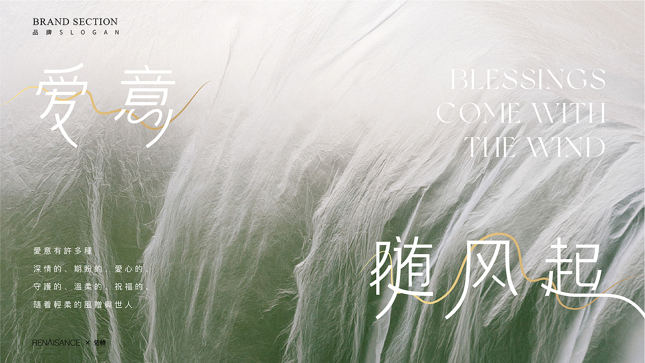 ©Renaissance×佑物RAV丨品牌案例分享