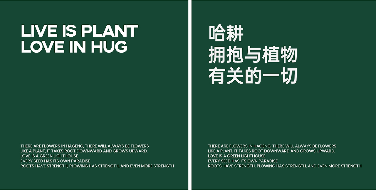 哈耕植物-品牌全案设计
