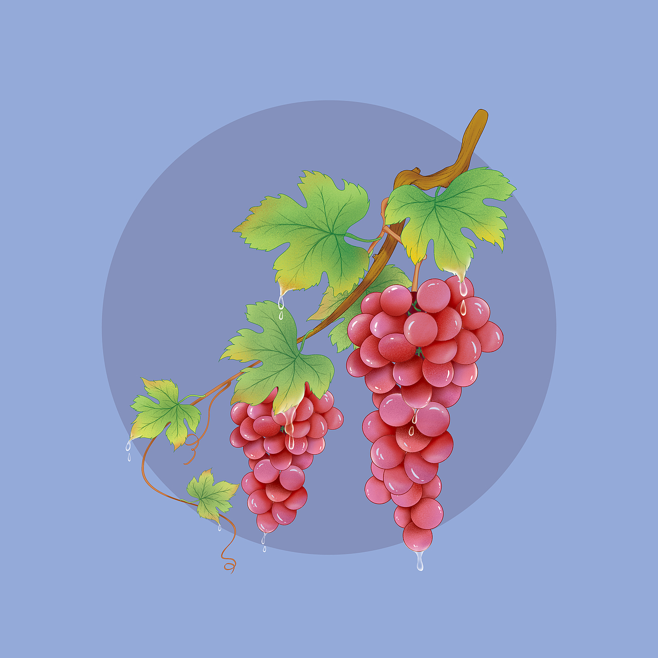 葡萄插画礼盒（图ZMzQ3MDAyNTI4） - 包装 - 站酷设计师璀璨2020原创素材 - 站酷ZCOOL