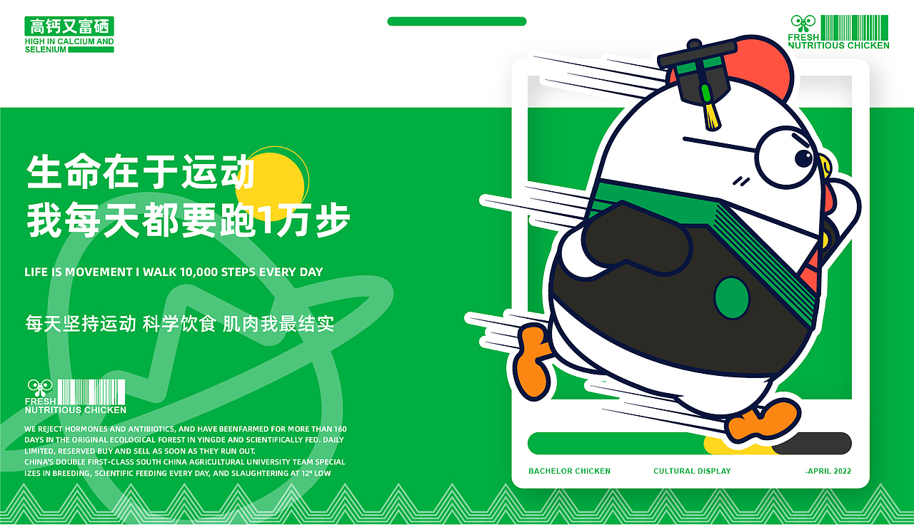 Bachelor Chicken-学士鸡品牌IP设计