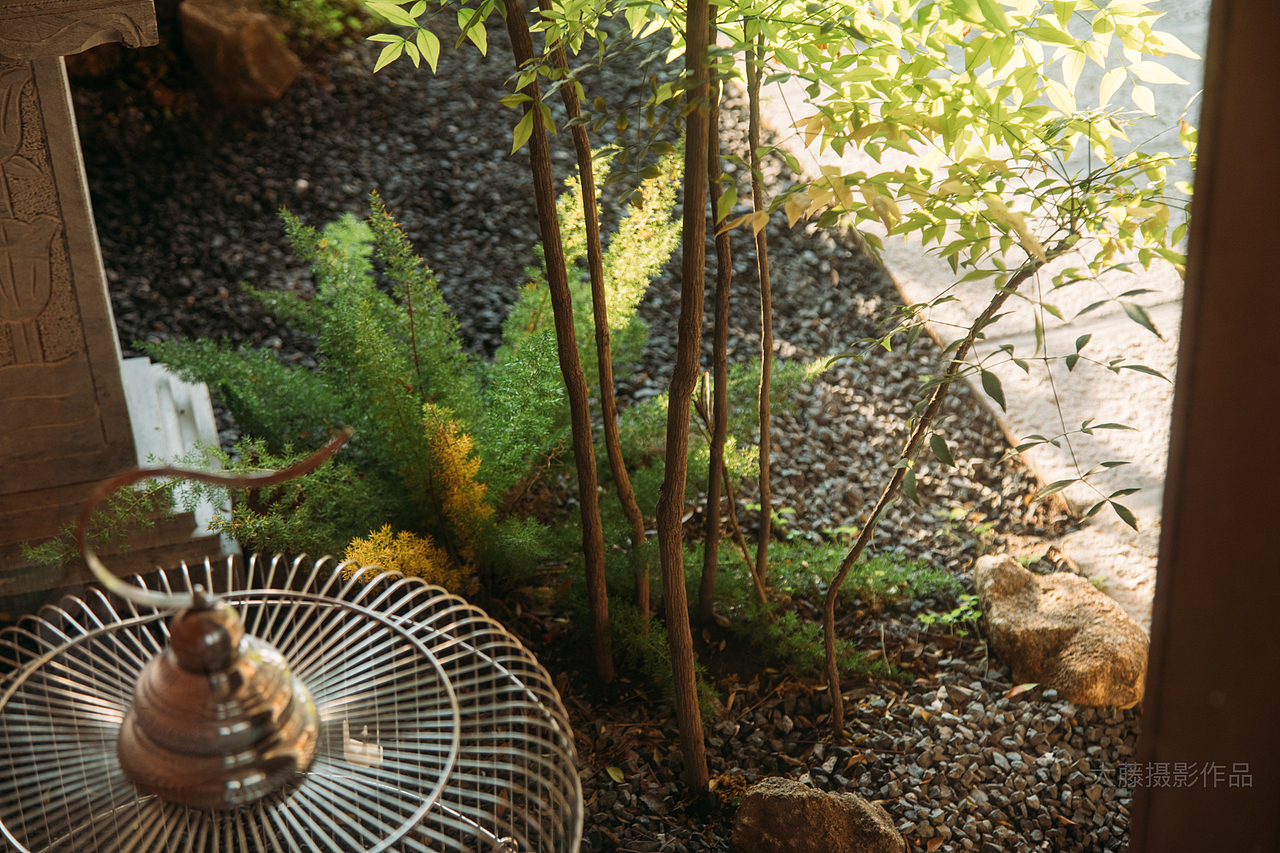 福建漳州古城民宿（图ZMzY4OTk0ODg0） - 酒店餐饮设计 - 站酷设计师大藤酒店民宿摄影原创素材 - 站酷ZCOOL