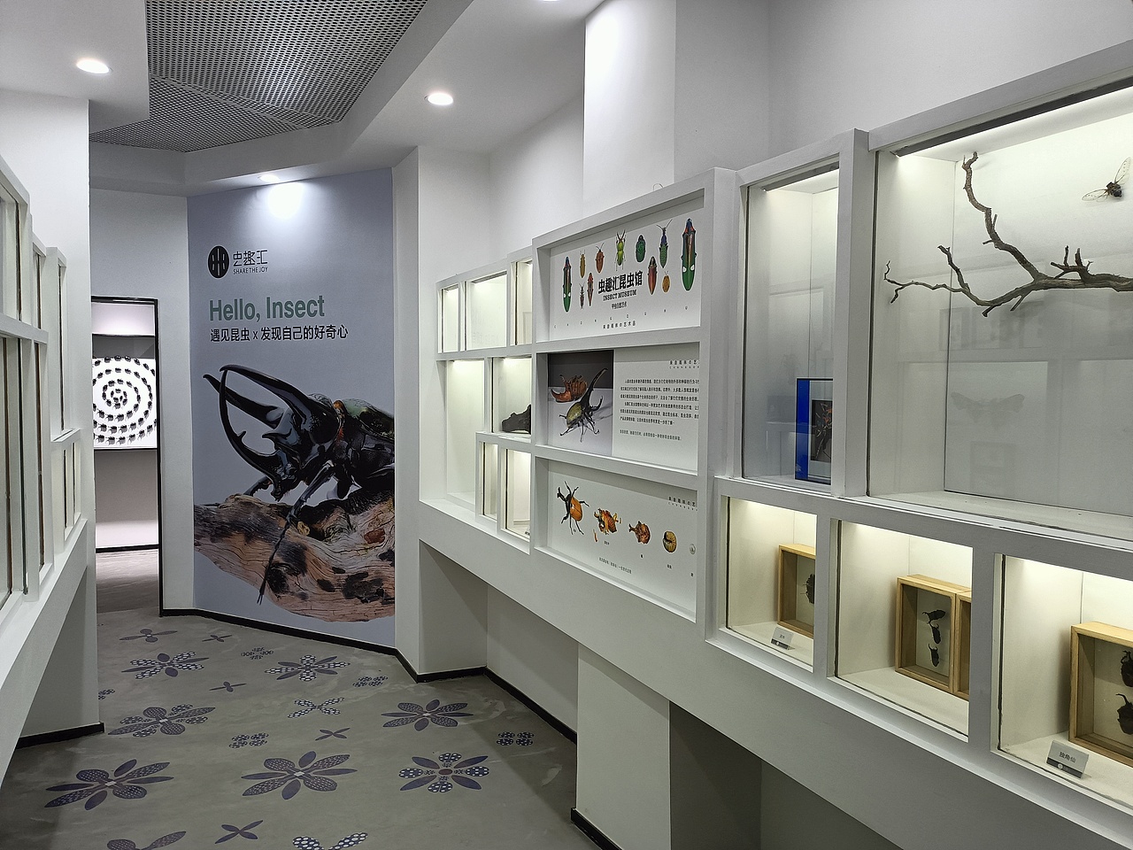 蓝色幻影昆虫空间（图ZMzUxNzAyNTA0） - 展陈设计 - 站酷设计师I虫趣汇I原创素材 - 站酷ZCOOL