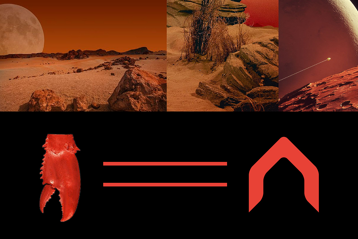 深圳餐厅设计,赖胖子肉蟹煲:火星上的吃蟹补给站