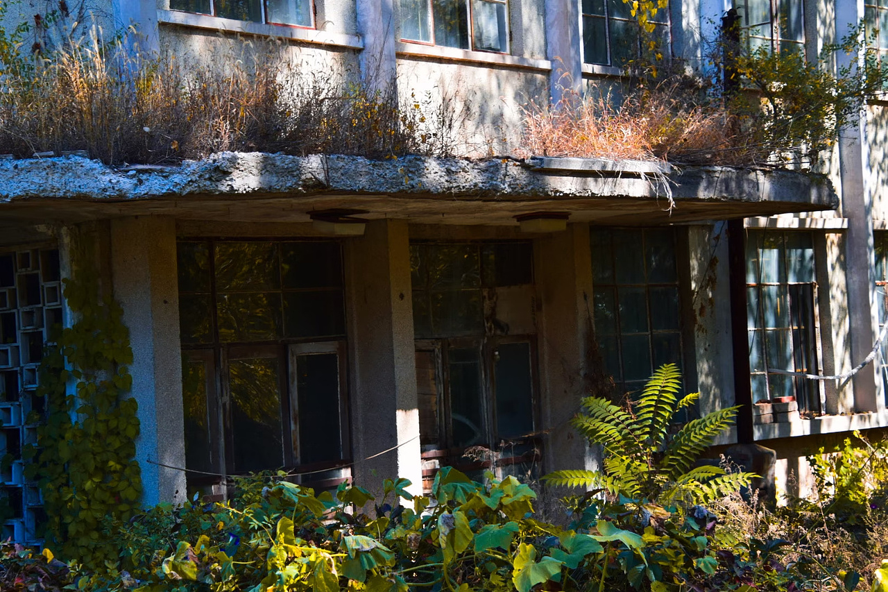 远去的故里 五五零二厂