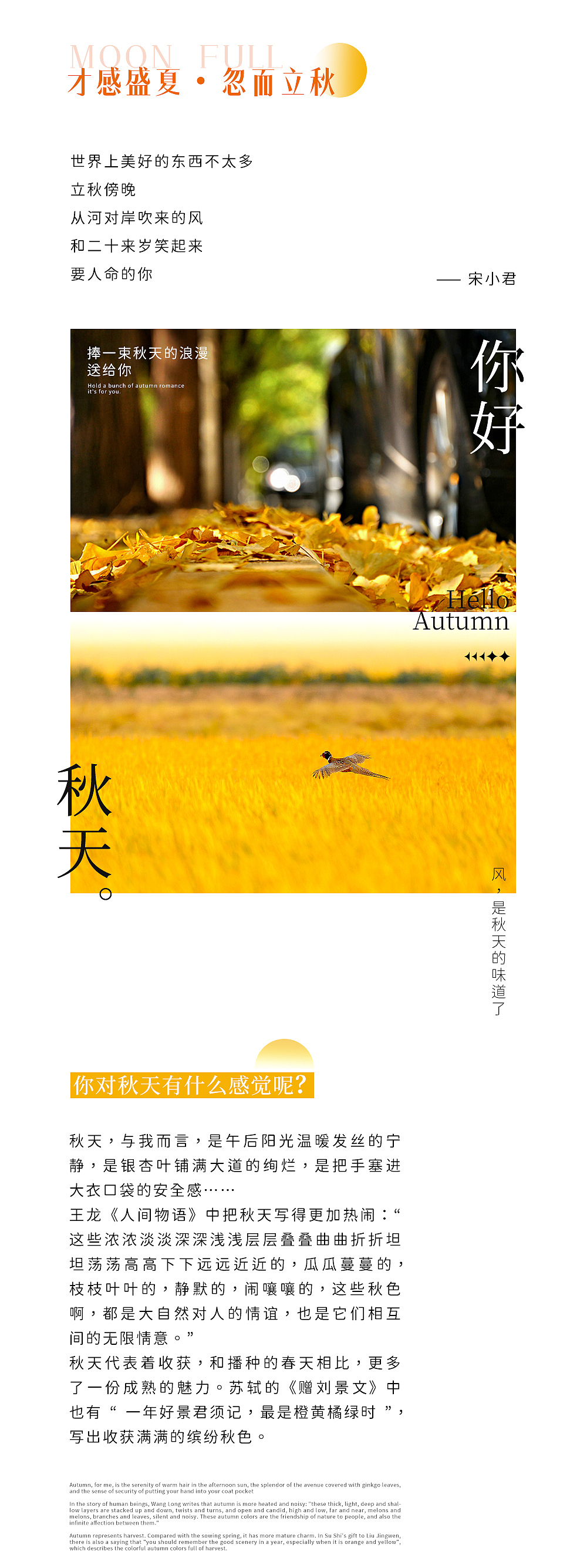 月发美满/幸福常在