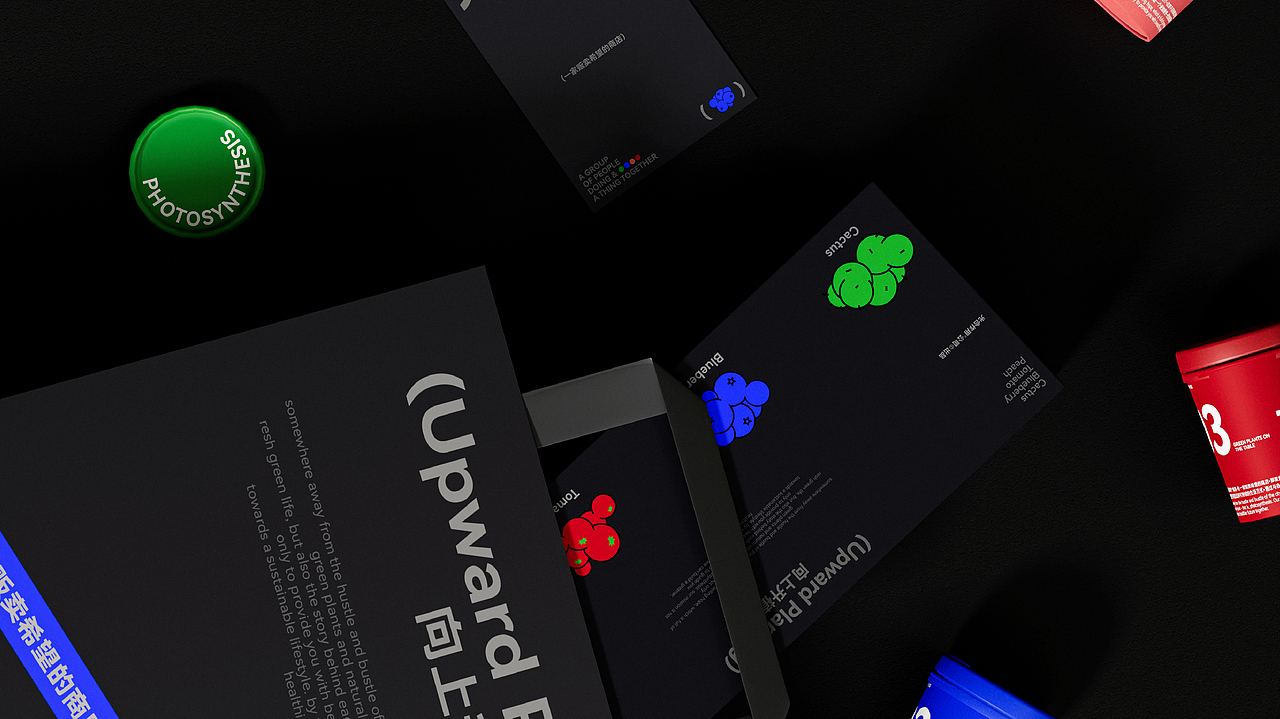 光合作用 | 桌面绿植包装 | 一家贩卖希望的商店