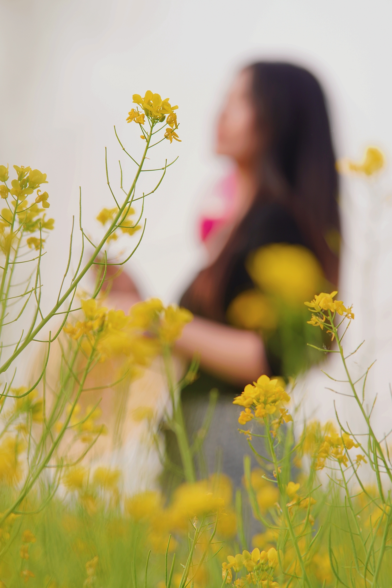是五月的油菜花吖（圖ZMzM5ODMwOTI0） - 人像攝影 - 站酷設(shè)計師60de妞妞原創(chuàng)素材 - 站酷ZCOOL