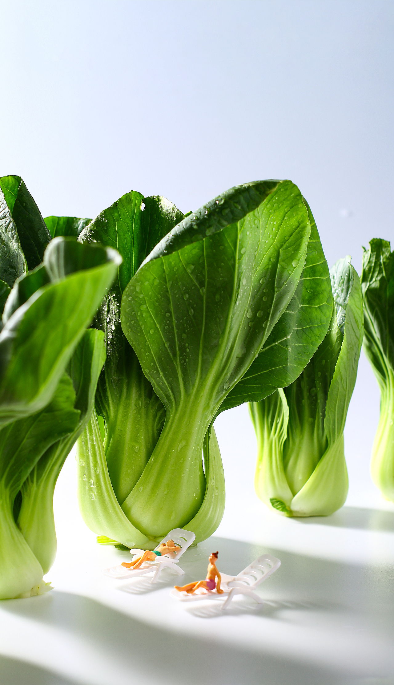 蔬菜创意拍摄X凨影视觉X新鲜蔬菜X微观