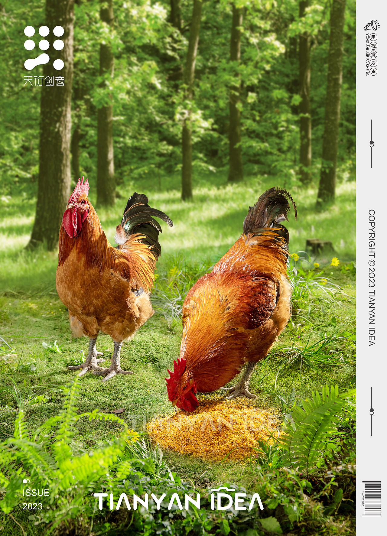 德州扒鸡-生态养殖篇