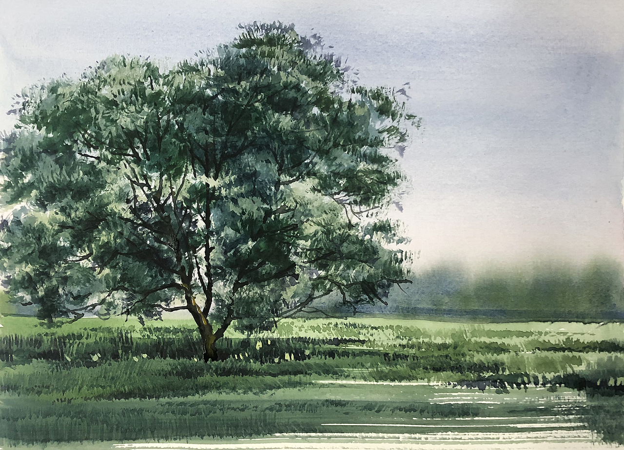 水彩风景——夏树生非花(2022 夏日里的树先生们)