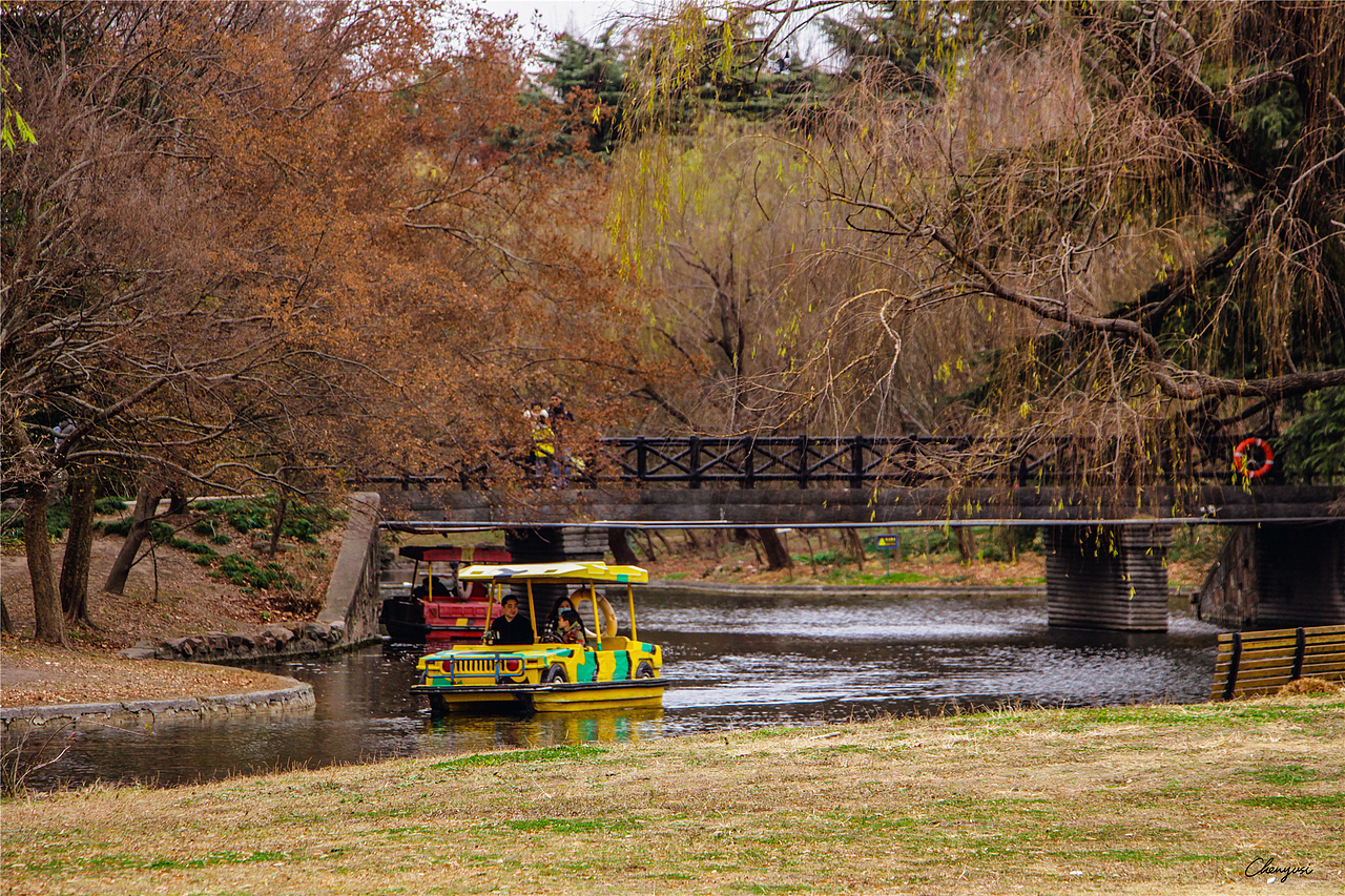 上海共青森林公园的秋日（图ZMzEyMTczODQ4） - 风光摄影 - 站酷设计师尚沪晴好原创素材 - 站酷ZCOOL