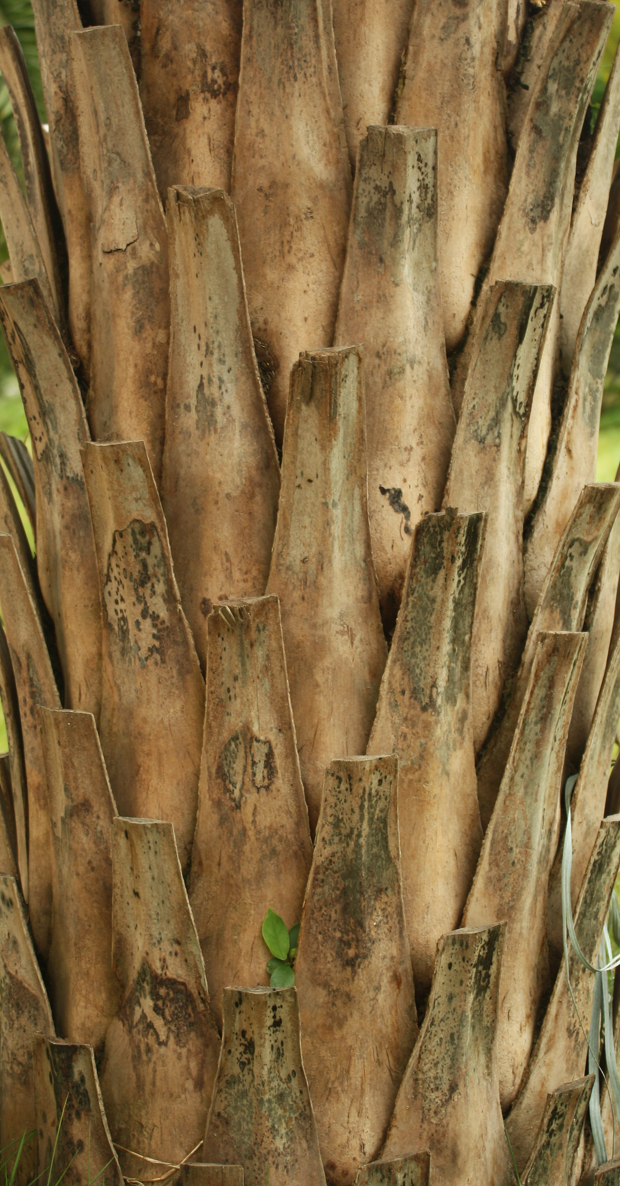 平铺满构图摄影（图ZMzA4NTE2NDE2） - 其他摄影 - 站酷设计师冰锋箭雨原创素材 - 站酷ZCOOL