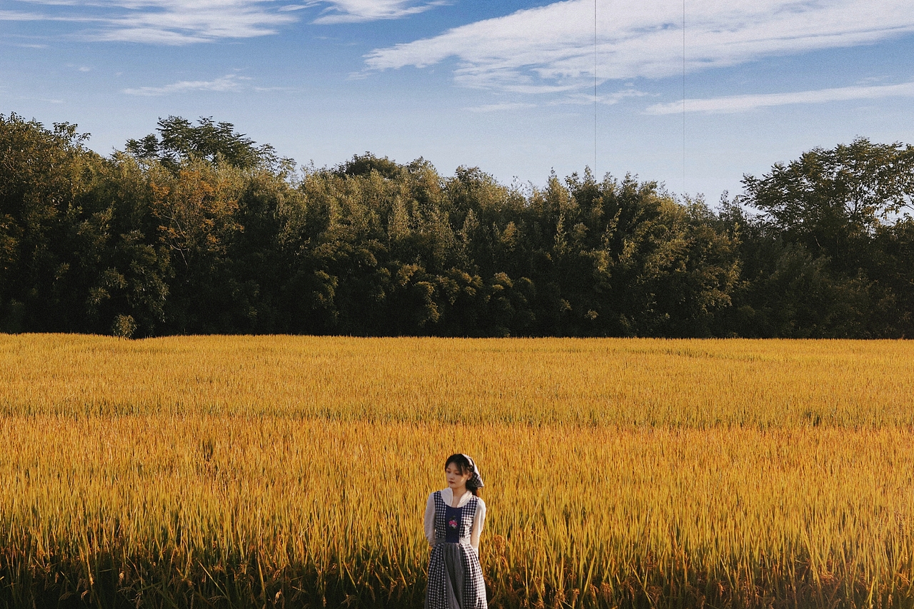 【20221019】稻田蓝裙少女写真