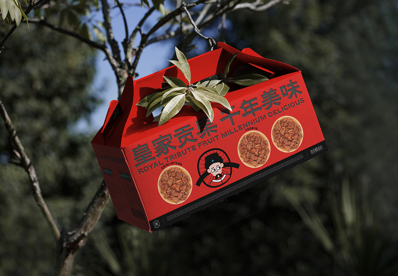 贵果子品牌设计-坚果炒货品牌创意呈现(图ZMzcwMzMxOTc2) - 品牌 - 站酷设计师吴大倩原创素材 - 站酷ZCOOL