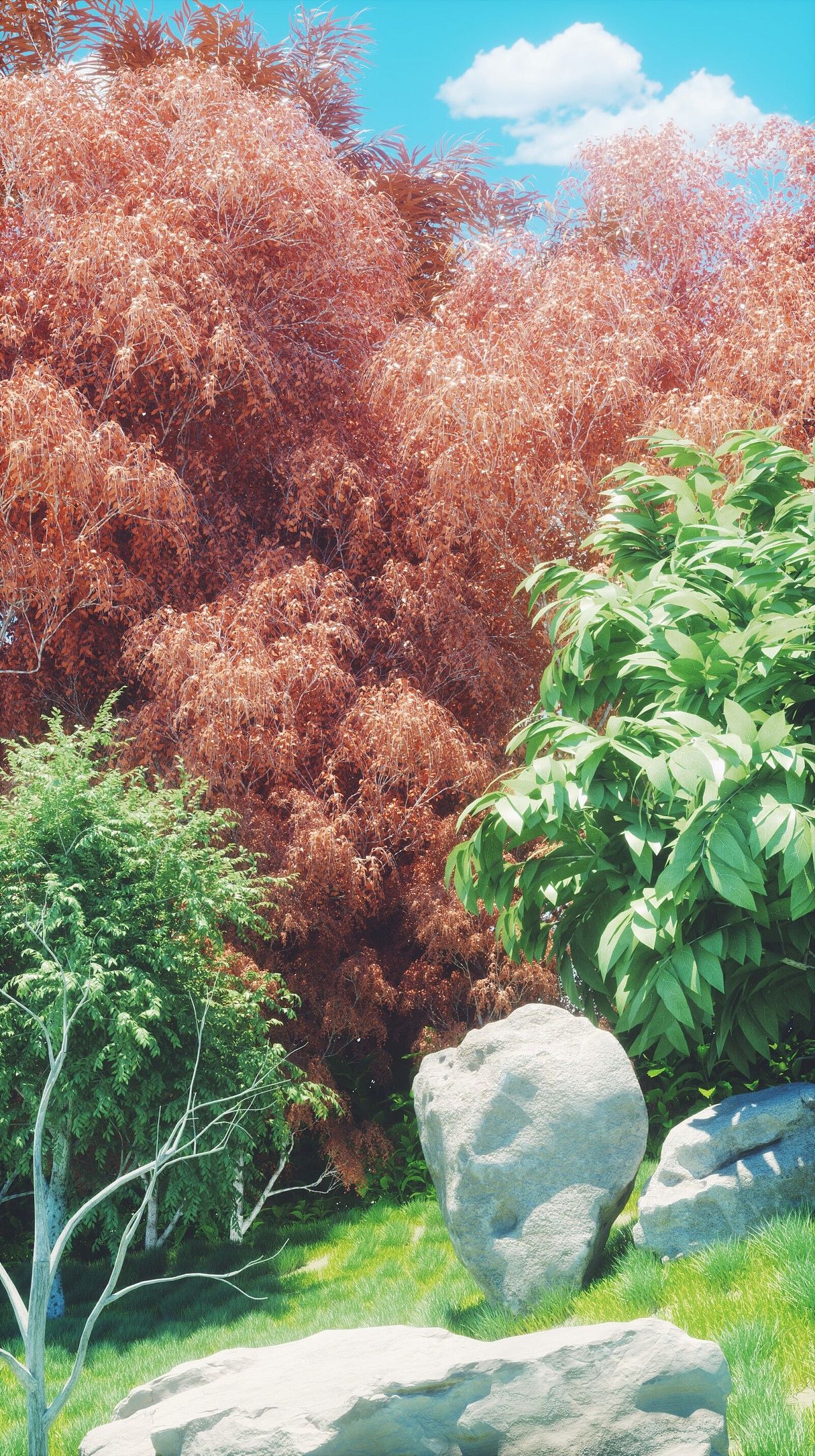 OC第二十期学员作品——NiaoNiao的C4D课堂(上)