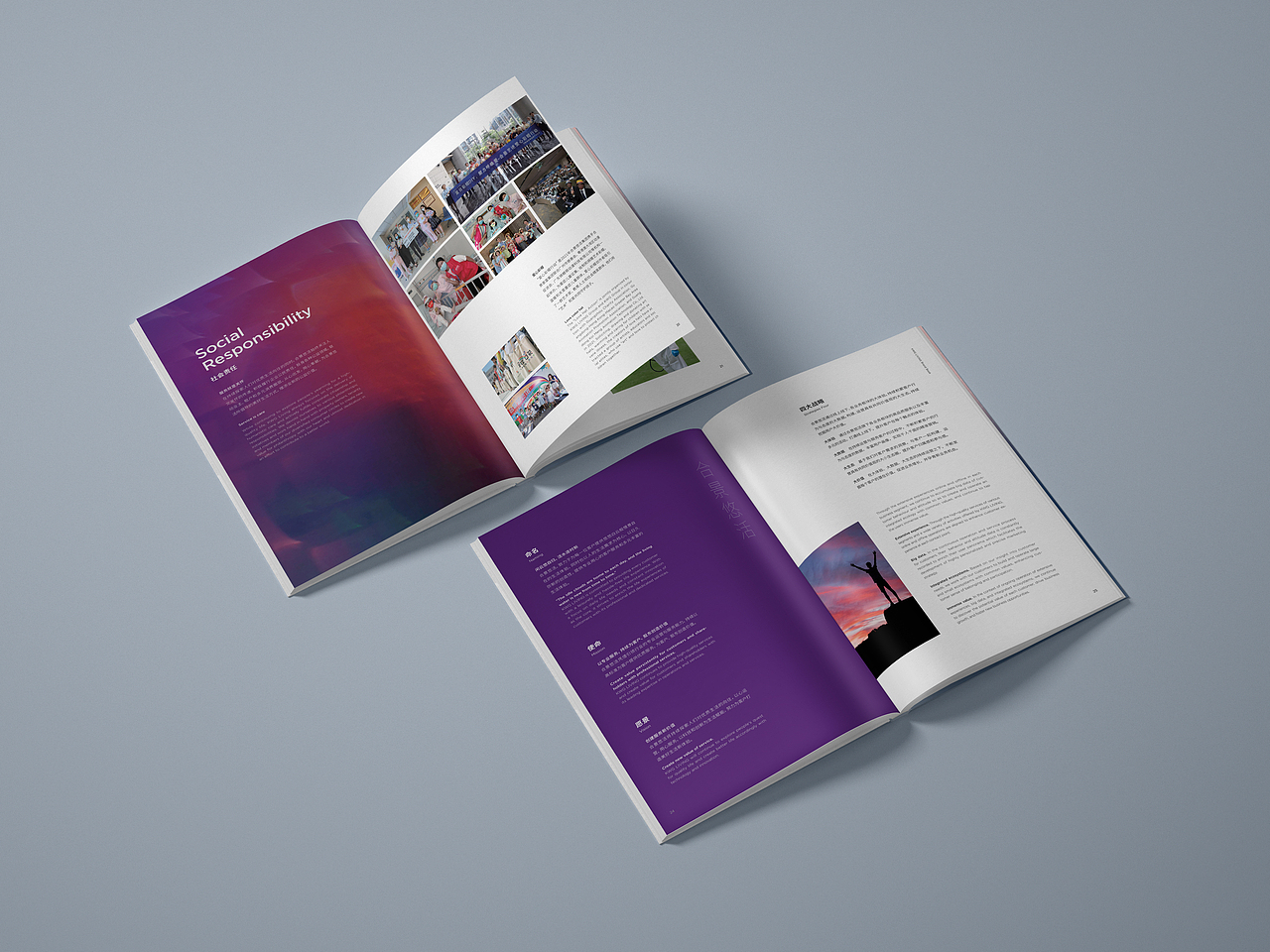 合景悠活集团丨品牌手册