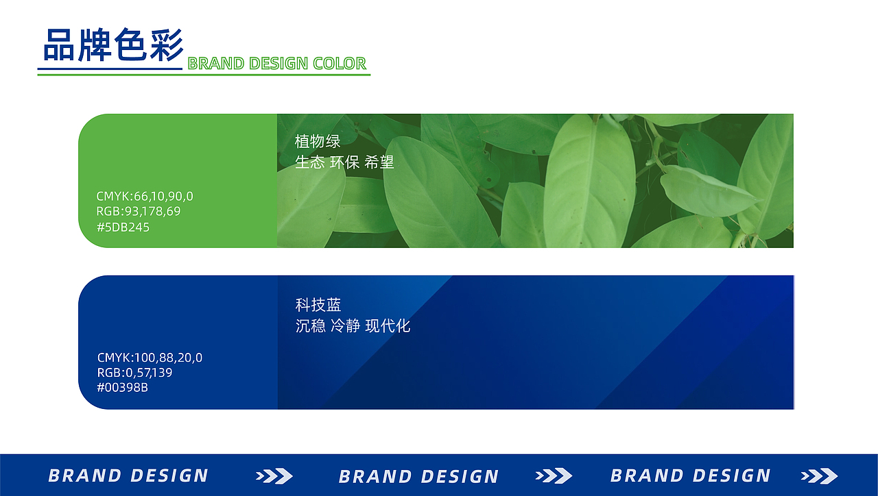 湖北美术学院丨雕塑专业丨黄同学丨向量设计