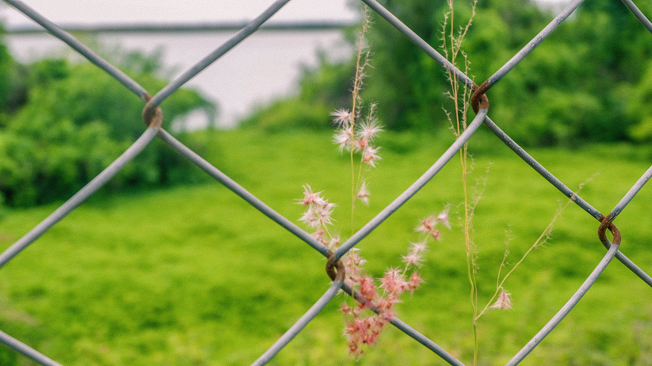 西乡红树林湿地公园-2022劳动节