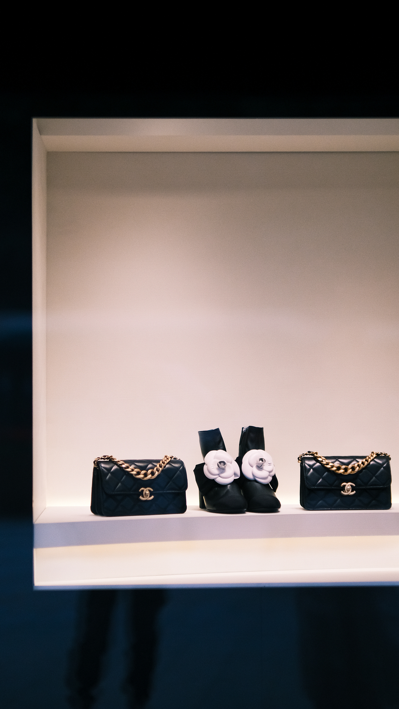 来自上海 的街景随拍 你们应该会喜欢