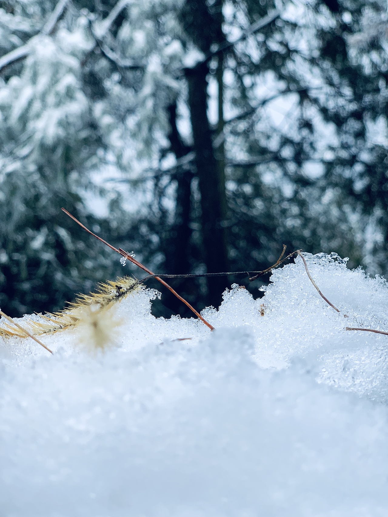 我眼中的冰雪世界（图ZMzI4NjEzNTg0） - 风光摄影 - 站酷设计师欧进辉原创素材 - 站酷ZCOOL