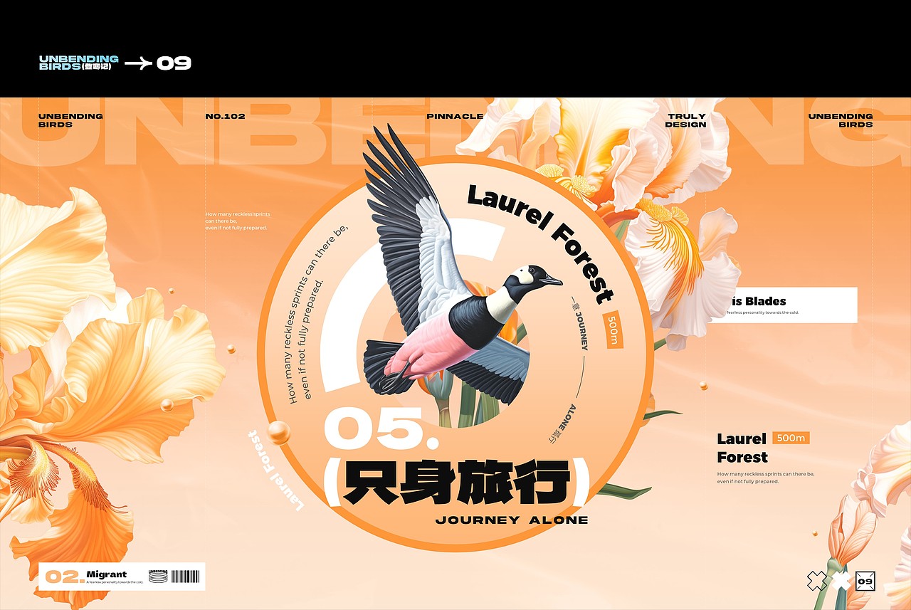 【登寒记】倔强的雀鸟——PPT设计(图ZMzU4OTA1NTQw) - PPT/Keynote - 站酷设计师凉了药原创素材 - 站酷ZCOOL