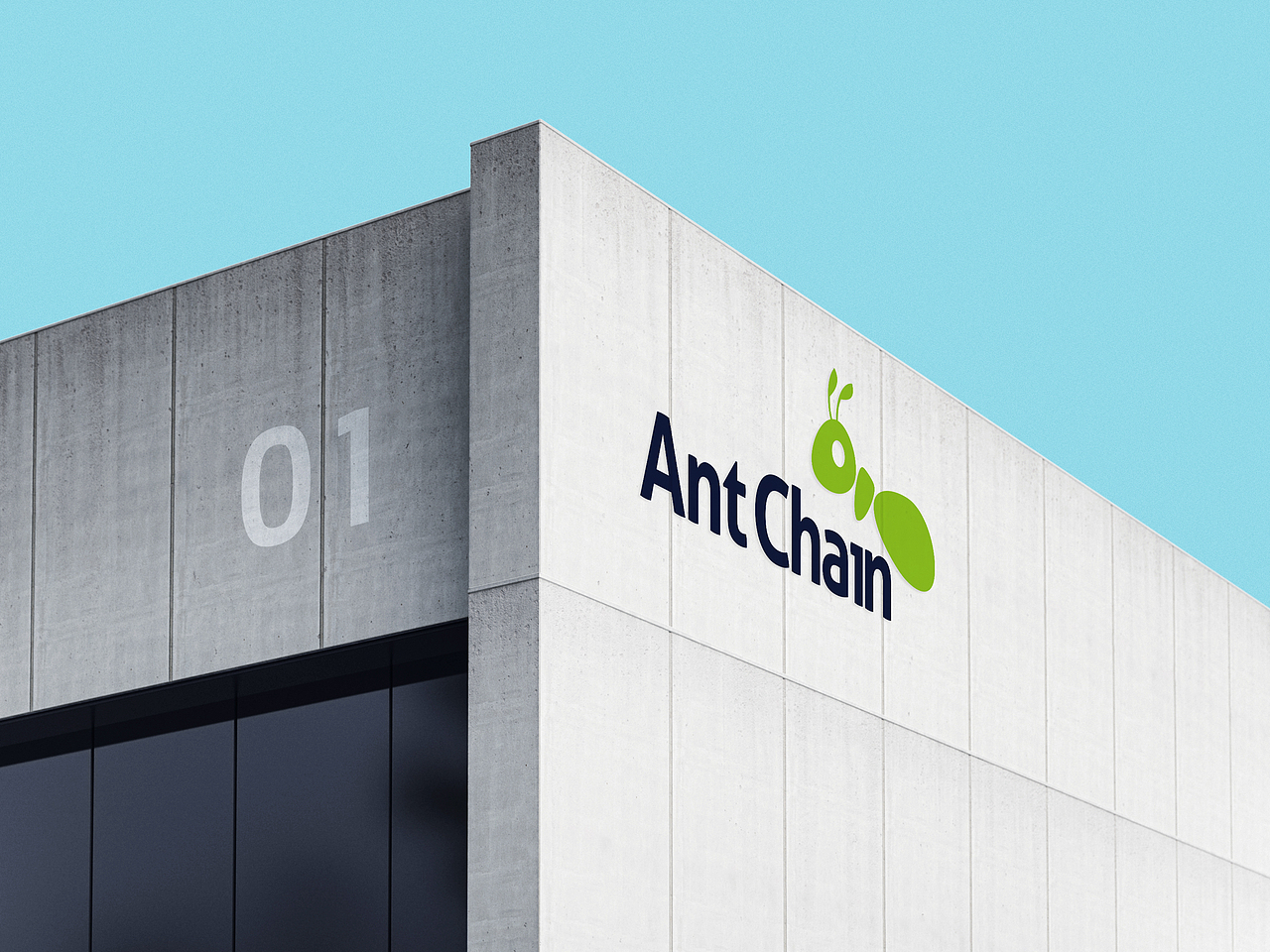 蚁链×浩博品牌全案丨物流品牌设计/LOGO/VI