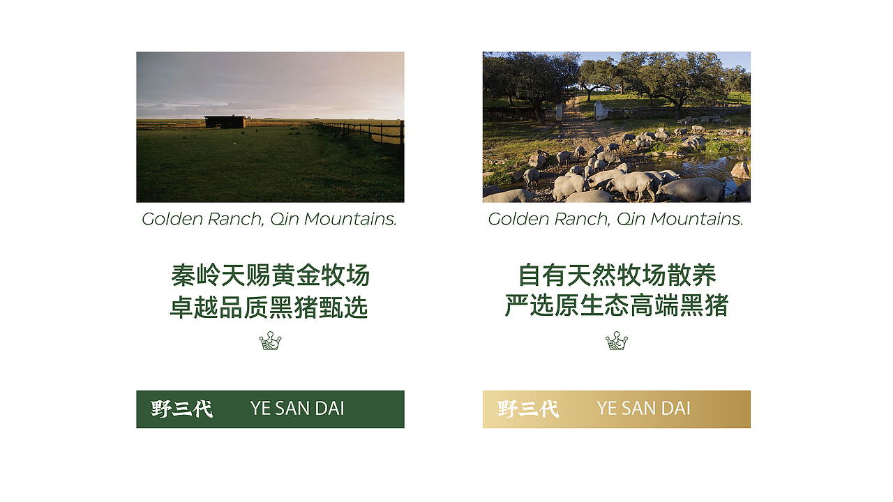 野三代黑猪头专卖