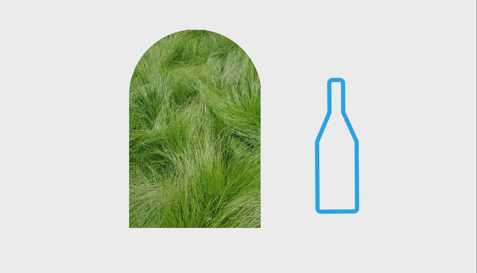 中南民族大学丨视觉传达专业丨查同学丨向量设计