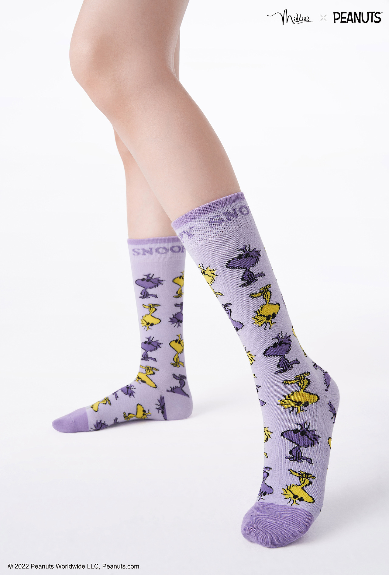【产品设计】SNOOPY联名袜子系列设计
