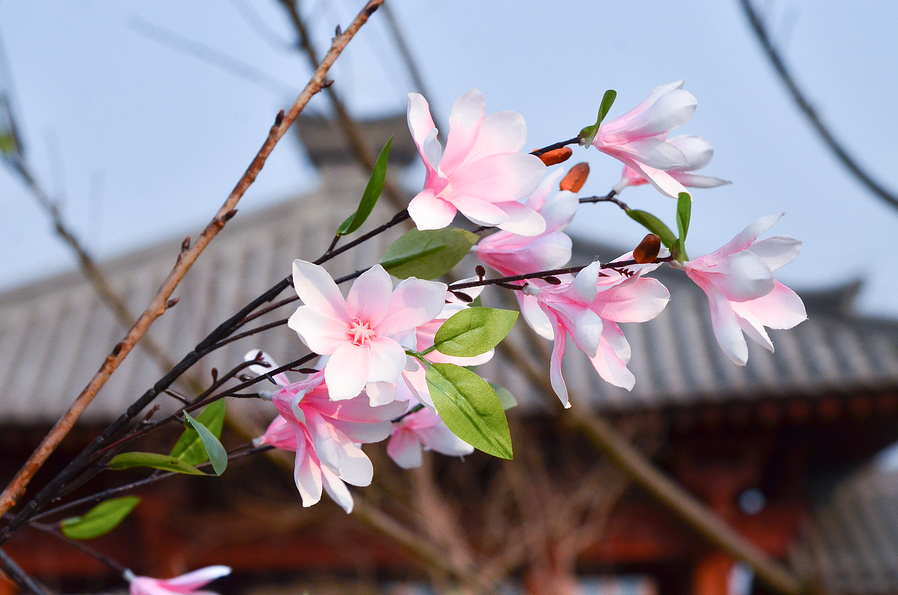 陕西汉中 天汉湿地公园（图ZMzU2MjE5MDA4） - 风光摄影 - 站酷设计师瓢酒慰风尘原创素材 - 站酷ZCOOL