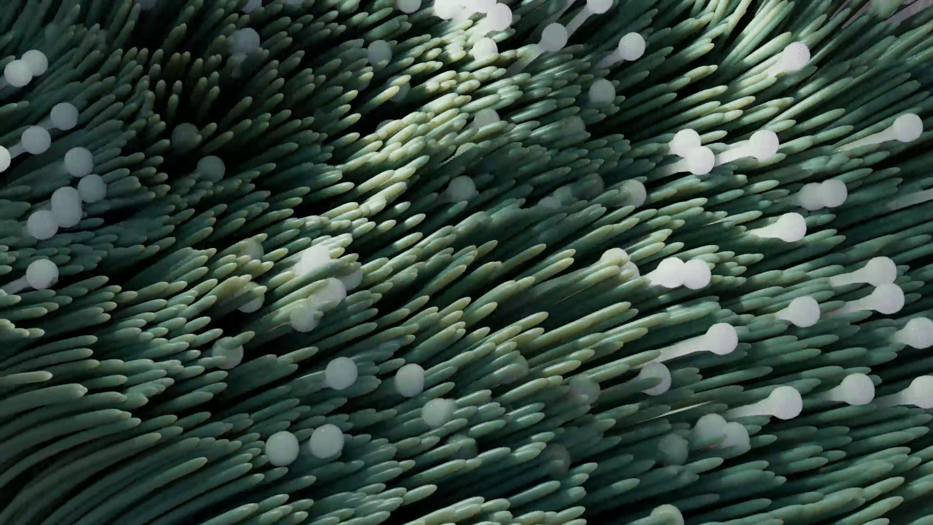 小练习（图ZMzUyMzQ3OTQ0） - 动画/影视 - 站酷设计师齐门三维原创素材 - 站酷ZCOOL