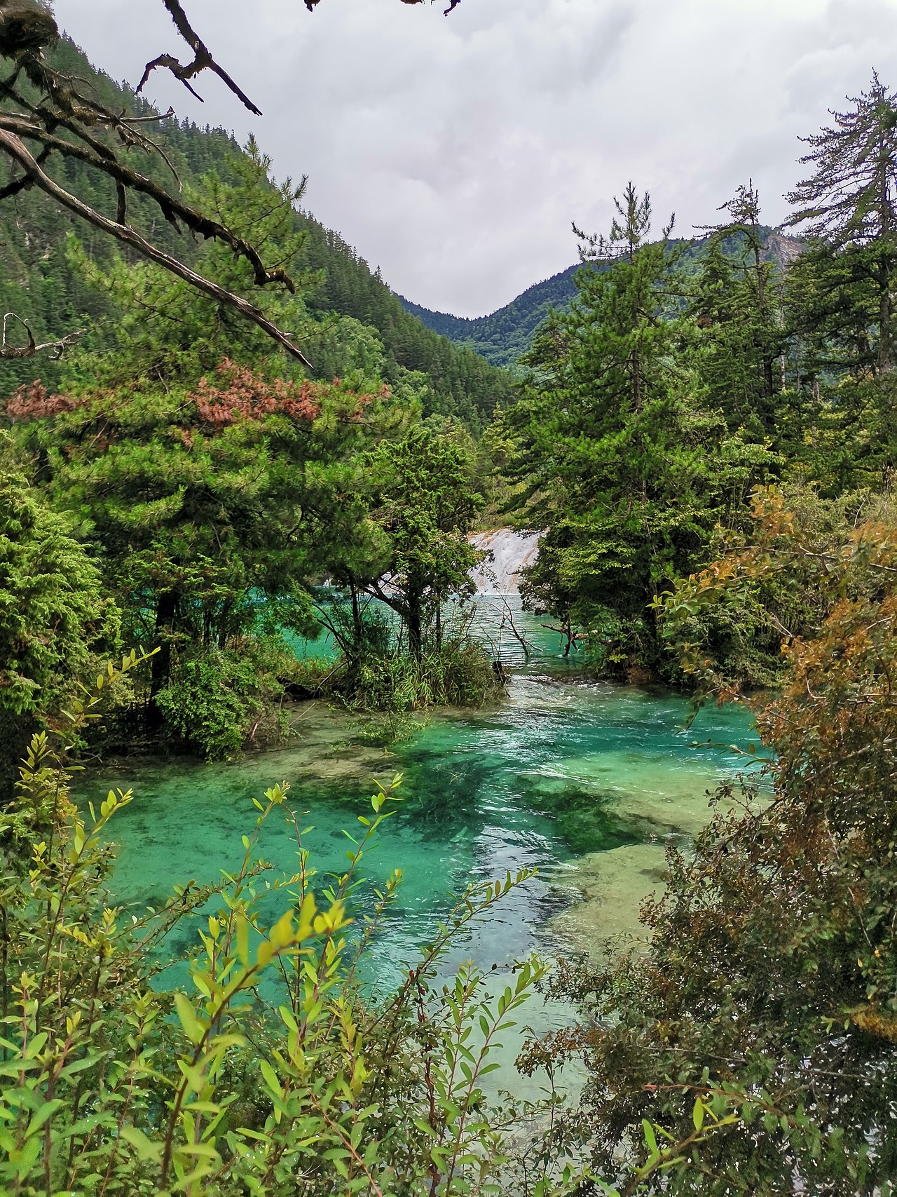 五彩缤纷九寨沟(下)
