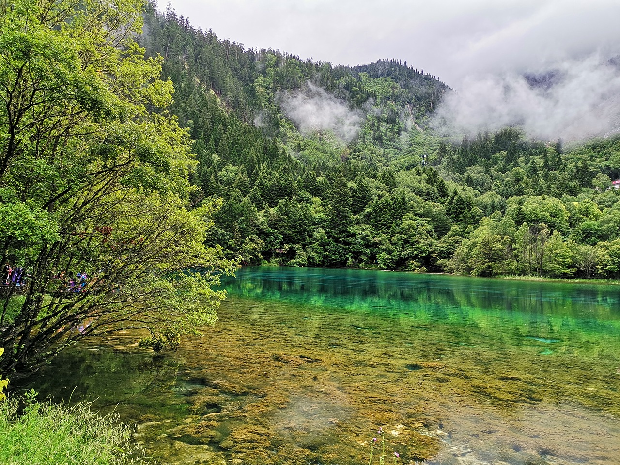 五彩缤纷九寨沟（上）