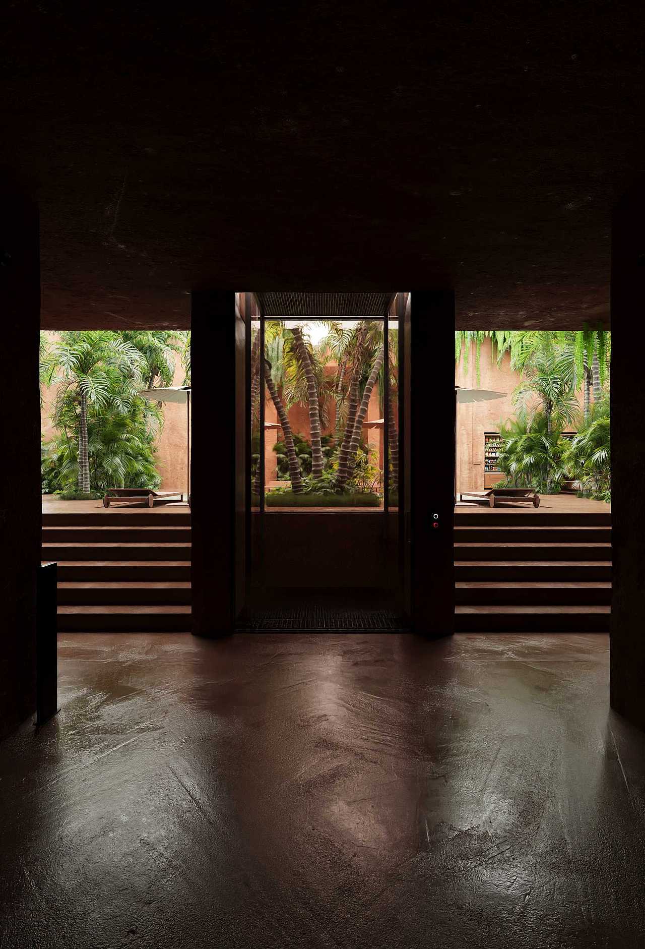 藏身在雨林的餐廳