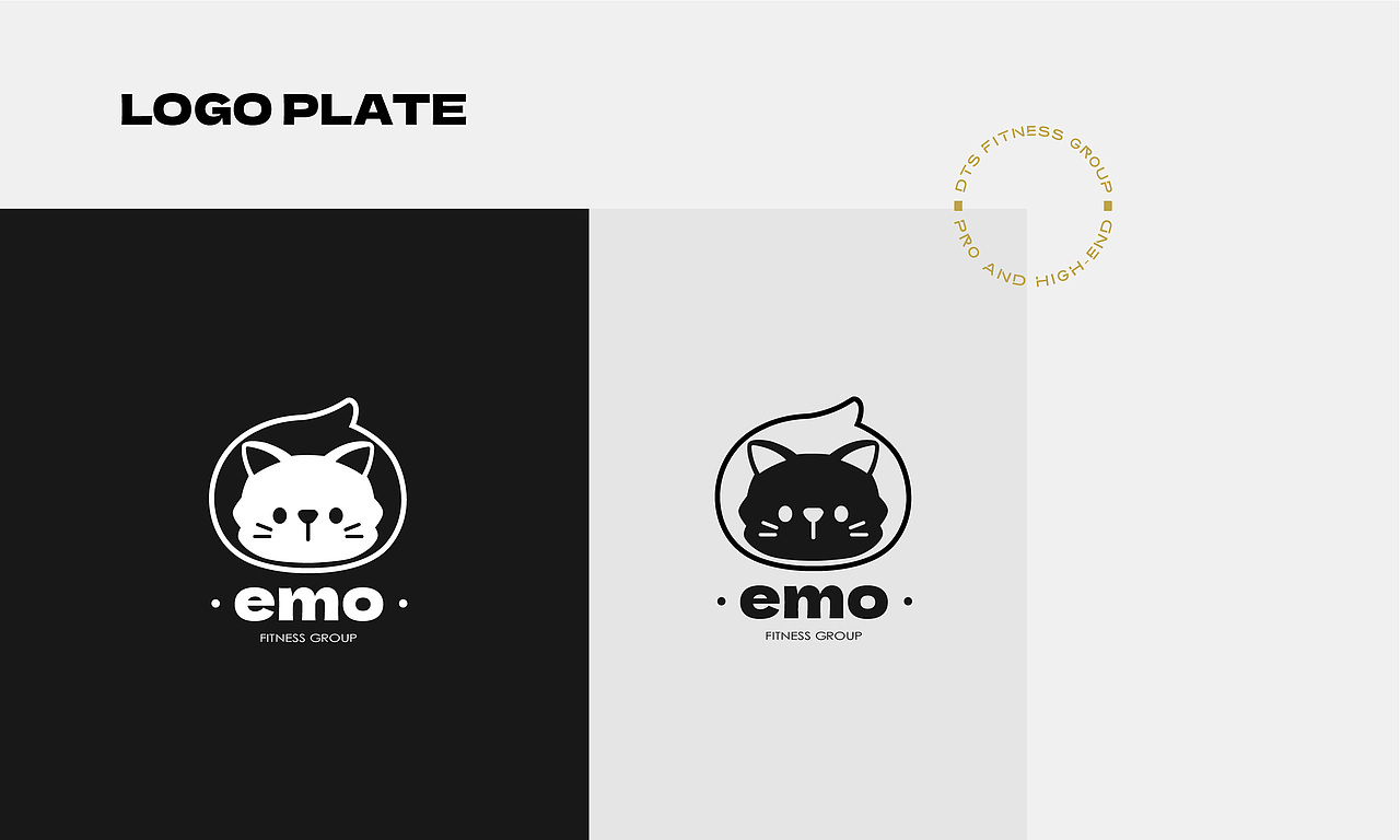 DTS | 澳門高端-兒童體能訓練品牌设计