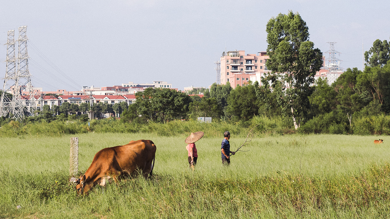 我们去草原的湖边
