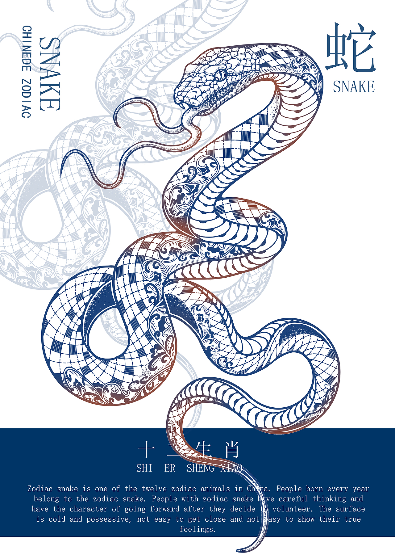 十二生肖系列国潮插画