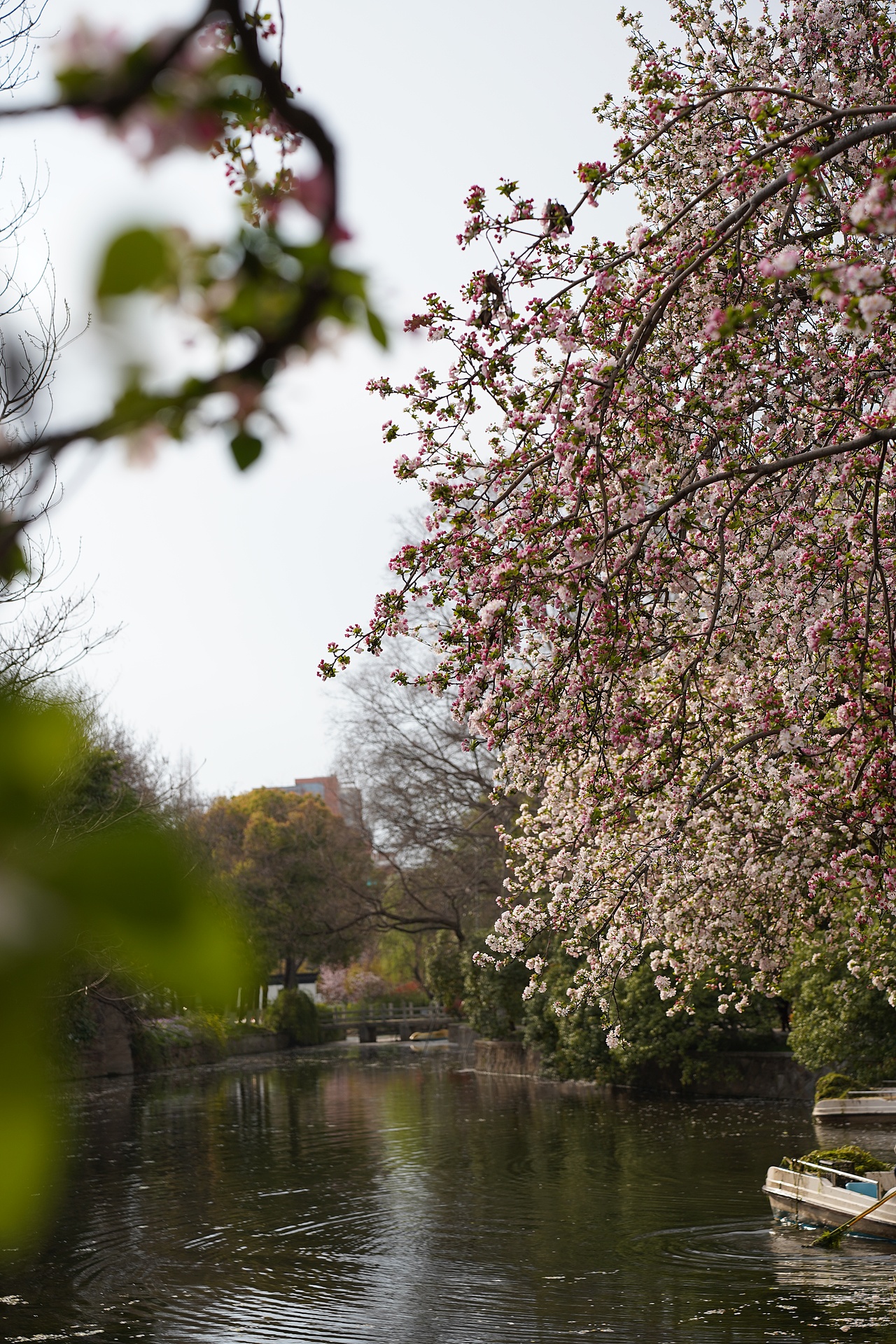 南京莫愁湖公园