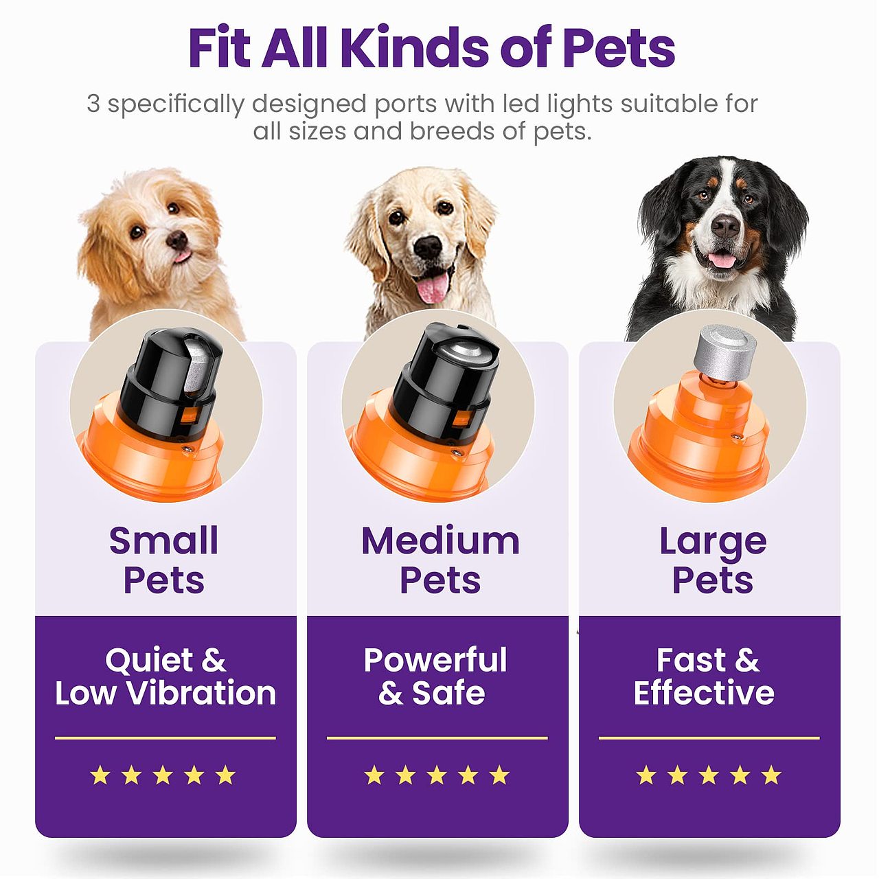 亚马逊产品拍摄主图设计白底图拍摄a➕设计