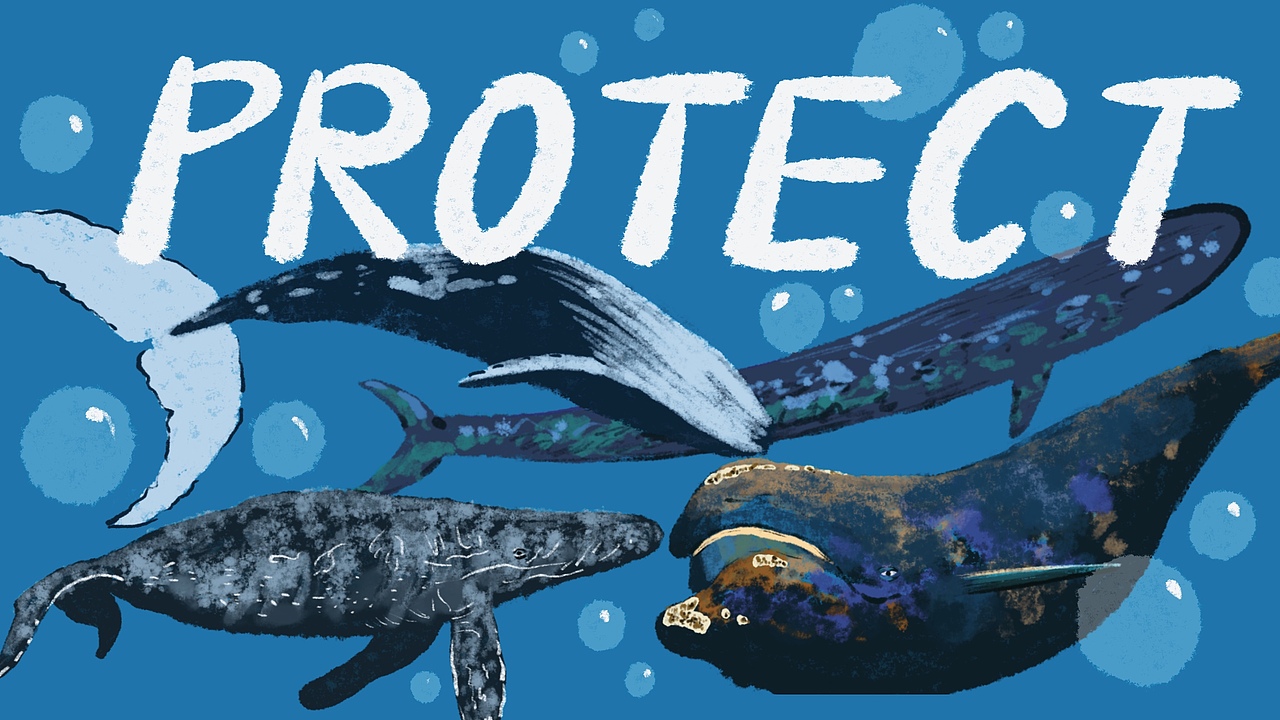 PROTECT（图ZMzY1MzMzMDMy） - 艺术插画 - 站酷设计师王王www原创素材 - 站酷ZCOOL