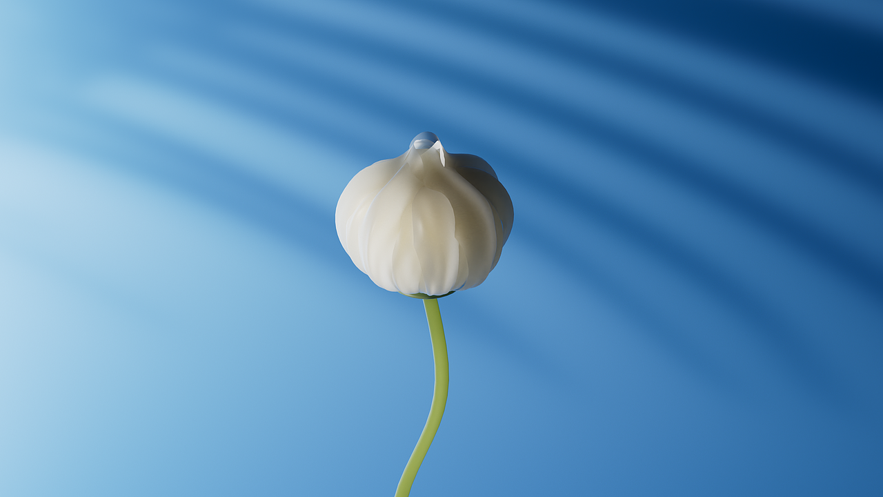 花朵绽放（图ZMzUyNzkwMjE2） - 动画/影视 - 站酷设计师齐门三维原创素材 - 站酷ZCOOL