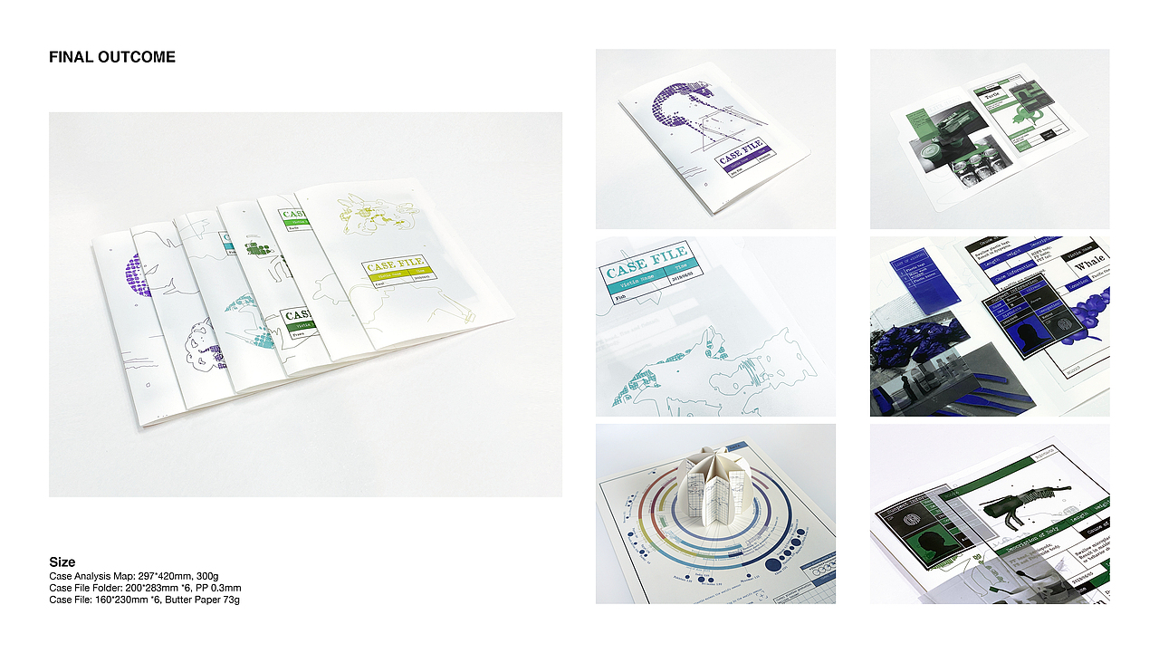 个人项目×4(英文/完整版)2019-2020