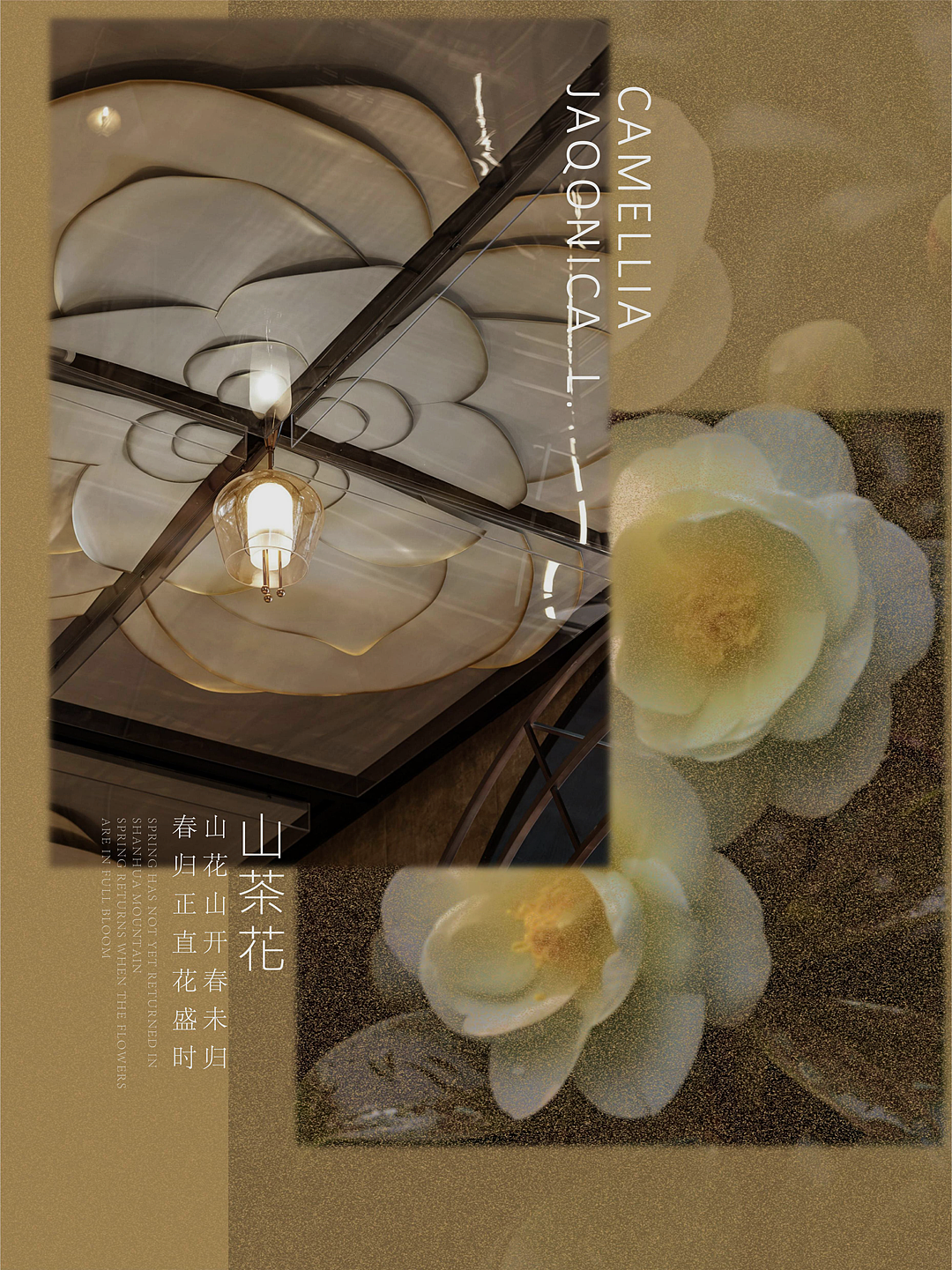 紫香舸 · 春城之怀 花海秘境（图ZMzYzODcwMTIw） - 商业空间设计 - 站酷设计师江南摄影原创素材 - 站酷ZCOOL