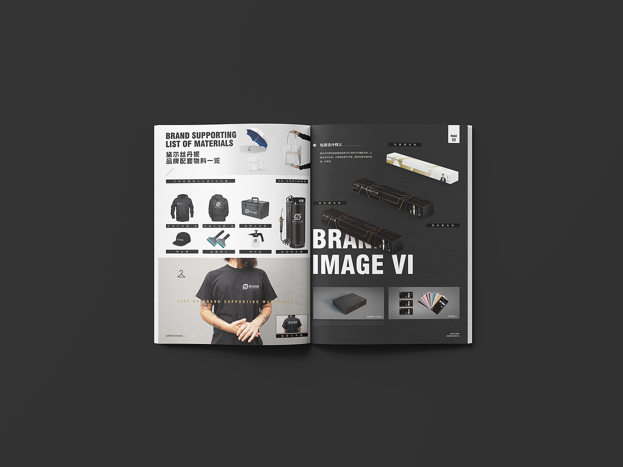 黛尔丝丹妮汽车贴膜画册设计